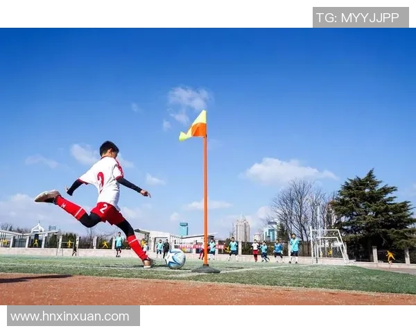 探索龙巴足球的魅力与发展之路，助力青少年成长与足球文化传播