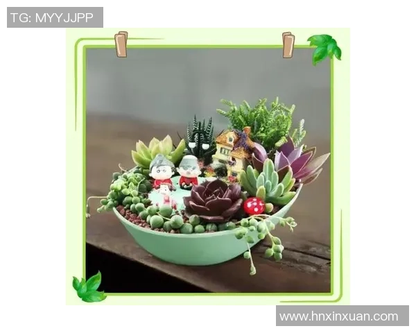 用旧足球打造创意花盆让绿色生活更有趣