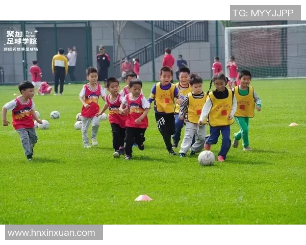 足球警探揭秘绿茵场上的阴谋与真相，追寻每一个失踪的进球与背后的秘密
